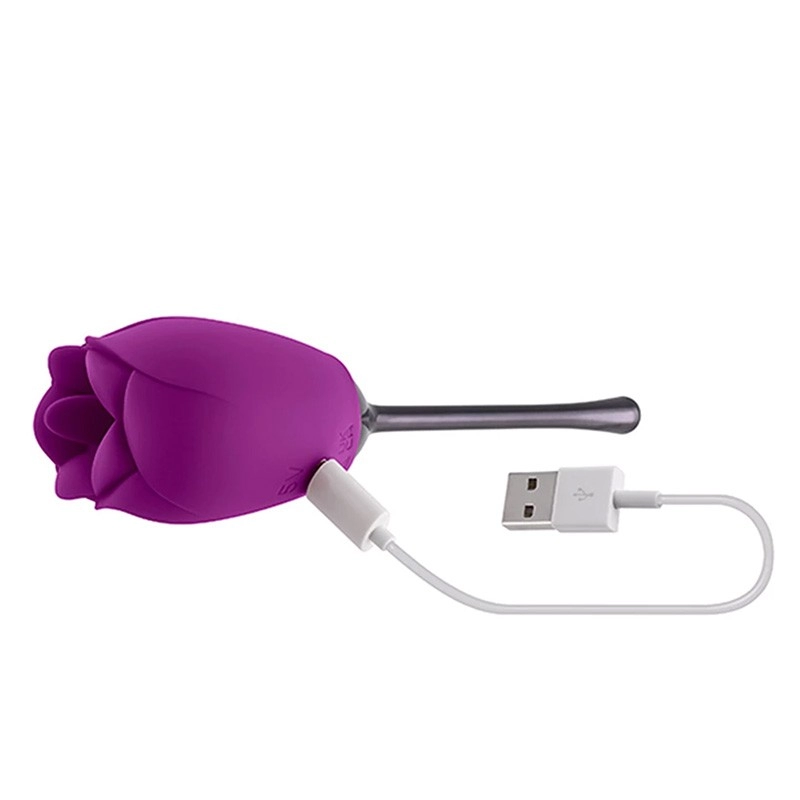 Stimulateur clitoridien - Playboy Pleasure Petal Vibrator