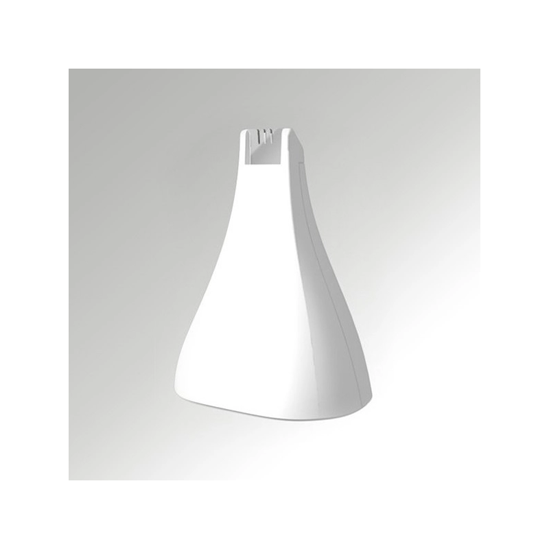 Epilateur - Rasoir intime pour femmes