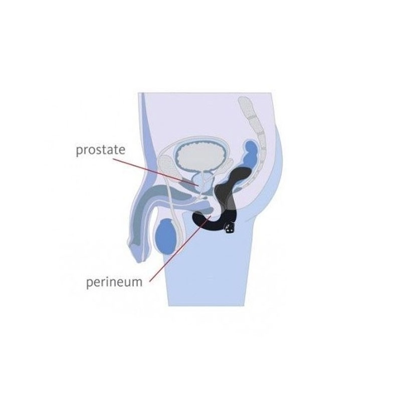 Vibromasseur prostatique Fun Factory Duke Noir