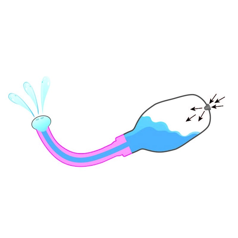 Pera clistere Ergolo Ergoflo Extra – Perfect Fit